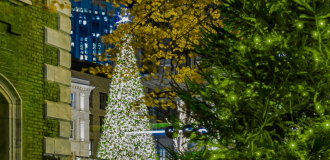 Christmas Tree in Liverpool City Centre