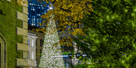 Christmas Tree in Liverpool City Centre