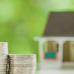 Coins and small house