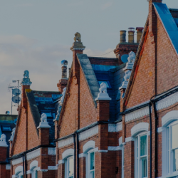 Houses in street