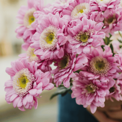 Southport blog banner